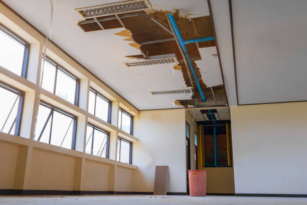  Whitney, TX Water damage restoration Pros