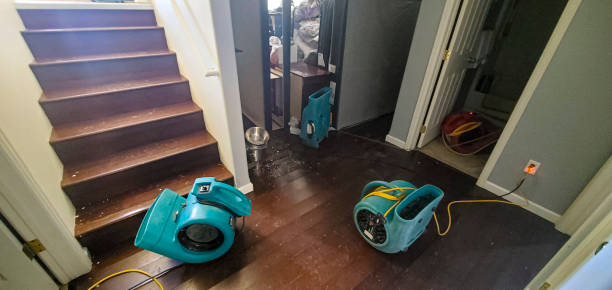 Best Commercial water damage restoration  in Whitney, TX
