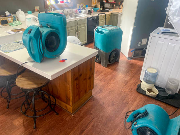 Best Water damage restoration experts  in Whitney, TX